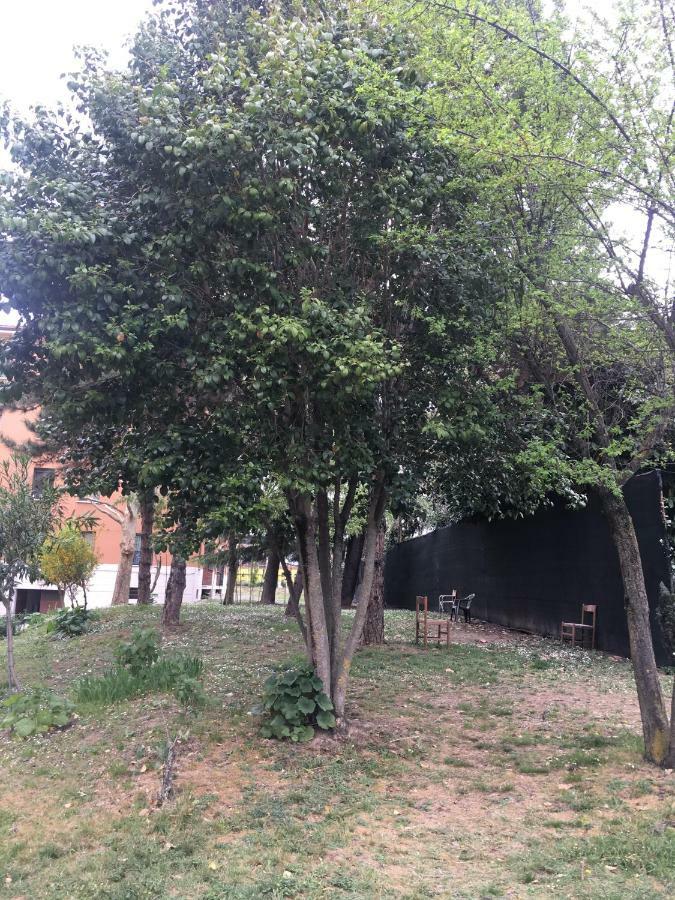 Ferienwohnung Tra S.Orsola E Fiera Bologna Exterior foto